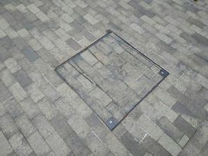 Люк под брусчатку Брус Ли Стальной, Съемная дверца Люк под брусчатку Брус Ли Стальной, Съемная дверца